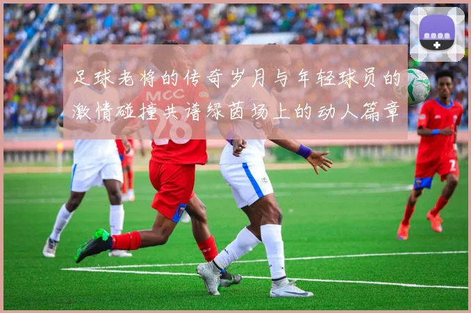 足球老将的传奇岁月与年轻球员的激情碰撞共谱绿茵场上的动人篇章