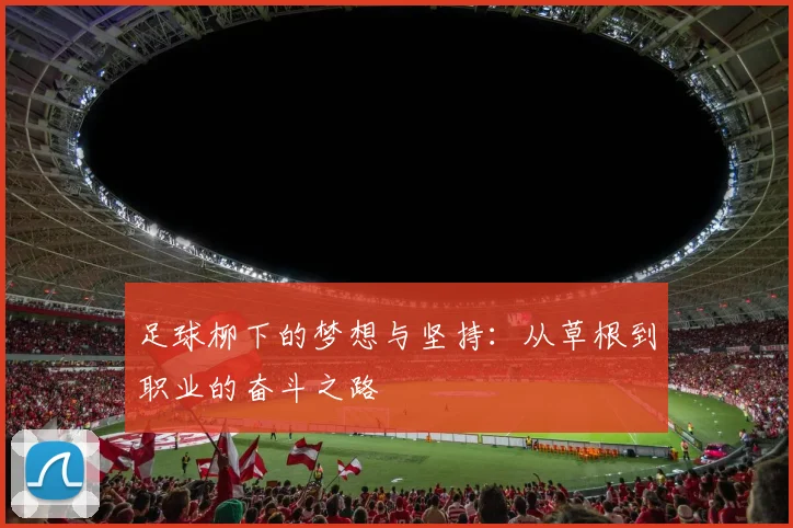 足球柳下的梦想与坚持：从草根到职业的奋斗之路