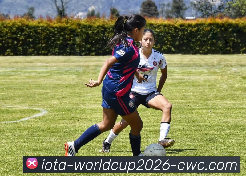 2026世界杯品牌故事